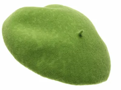 Wool Beret 3D model