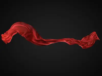 Cloth simulation 3D model