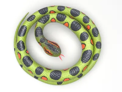 Rubber Snake 3D model