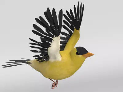 Goldfinch Animated 3D model