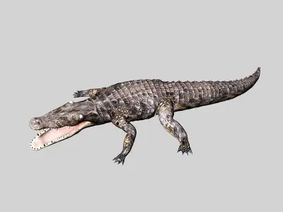 MUD CROC 3D model