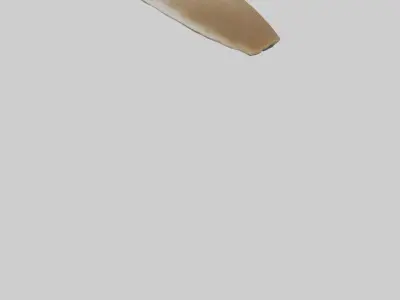 Coyote Tail Model 3D model