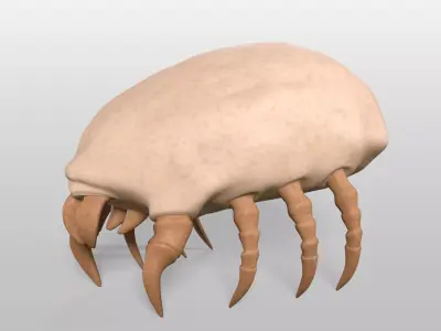 Dust Mite Low-poly 3D model