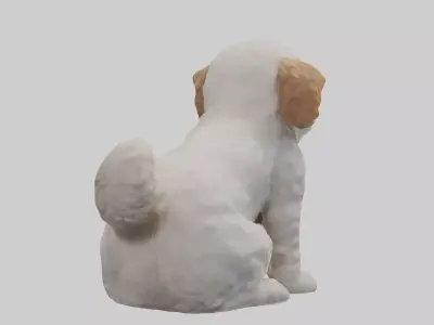 Cockapoo wagging tail model 3D model