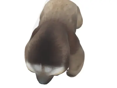 Chill the Stylized Sloth 3D model