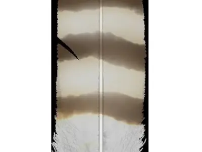 Feathers Hair Cards preset Free low-poly 3D model