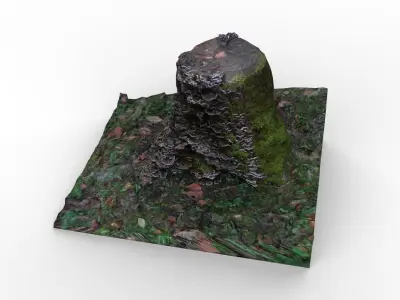 Tree trunk covered in mushrooms Free low-poly 3D model