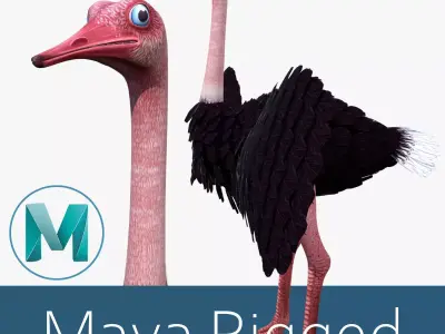 Ostrich bird Low-poly 3D model