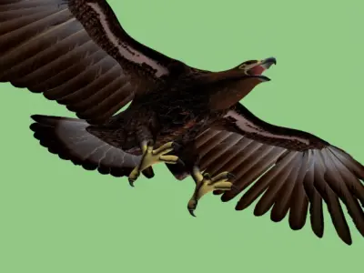 GoldenEagle eagle 3D model
