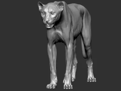 Cheetah VFX Ultra Cinematic Realistic Zbrush Sculpt 3D model