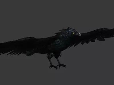 crow  bird Low-poly 3D model