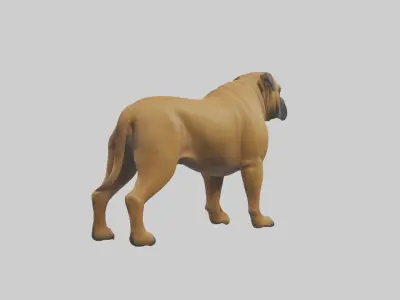 Bull Mastiff guarding model Low-poly 3D model
