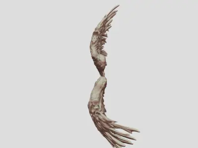 Feathered Bird or Angel Wings 3D model