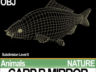 Carp B Mirror 3D model