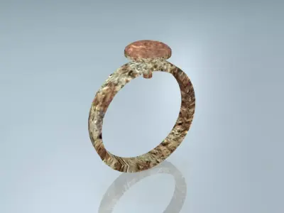 Rusted Hardware Tool Ring 3D model