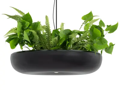 Indrid Decorative Plants Black Light By Lightmakers Free low-poly 3D model