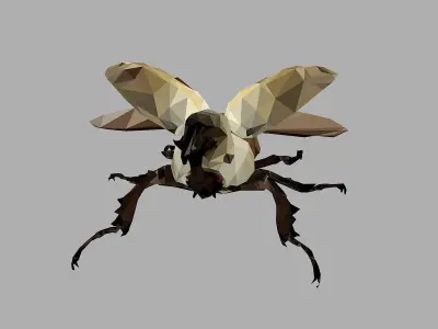 Rhinoceros Bark Beetle Low Polygon Art Insect Low-poly 3D model