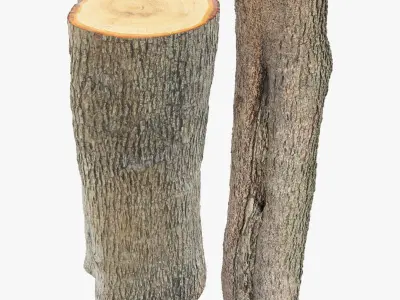 Logs Collection V3 3D model