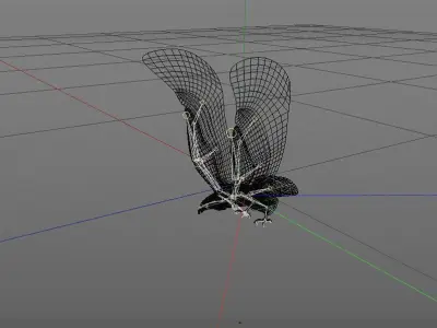 eagle two eagles in flight 3D model