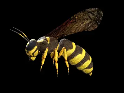 wasp low poly and fully rigged Low-poly 3D model