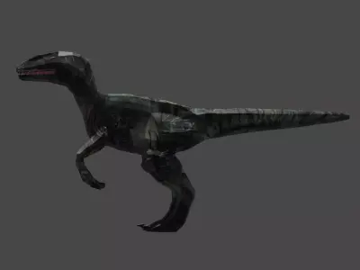 VELOCIRAPTOR DINOSAURS Low-poly 3D model