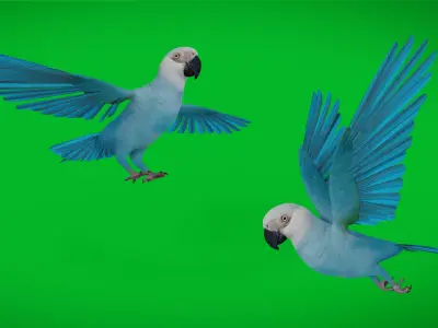 Spix Macaw Bird Low-poly 3D model