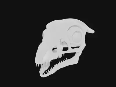 Archaeopteryx skull 3D model