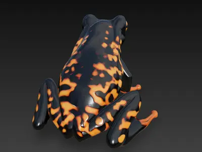 Frog Poisonous Realistic 3D Model Basic - Low Poly Realistic Low-poly 3D model