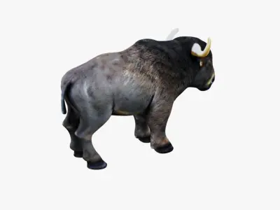 Buffalo Free 3D model