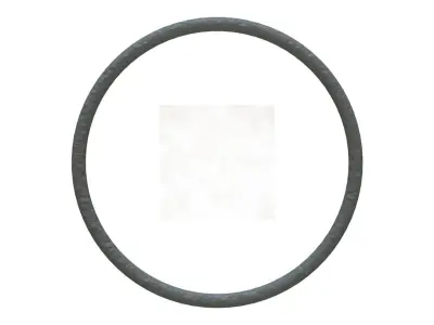 O Ring Vedabras 13024 3D model