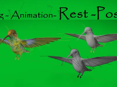 Glittering Bellied Emerald Hummingbird Low-poly 3D model