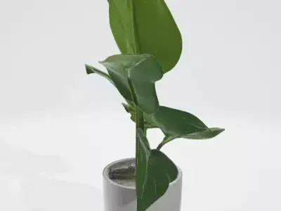 3d model of a plant 3D model