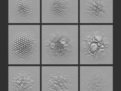 40 Animal Skin Alpha and Brush Low-poly 3D model