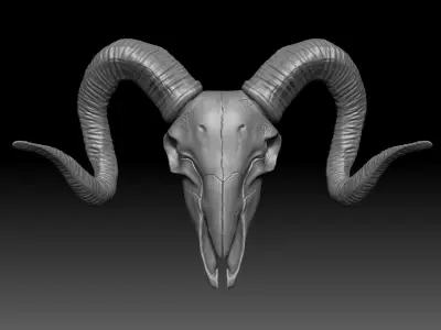 Goat Skull 3D model