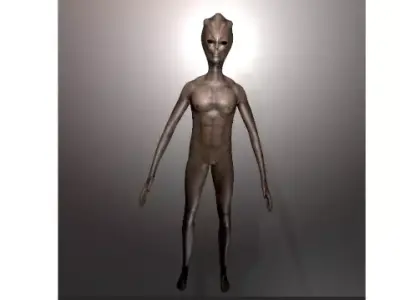 Alien Grey 2 realistic - low-poly 3d model Low-poly 3D model