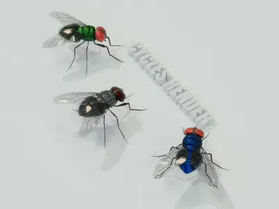 Flies for blender Low-poly 3D model