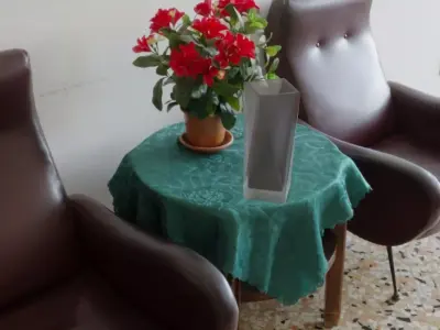 Square glass vase Free low-poly 3D model