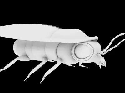 Firefly Realistic model beetle 3D model