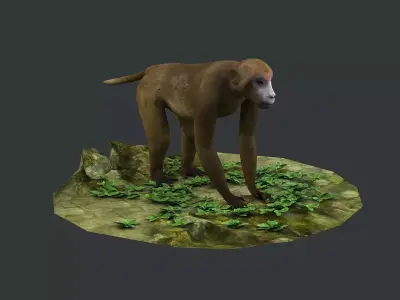 macaque monkey ape chimp africa savannah mammal 3D model