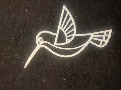 5 modelos diferentes  gato  aguila luna cubo colibri 3D model