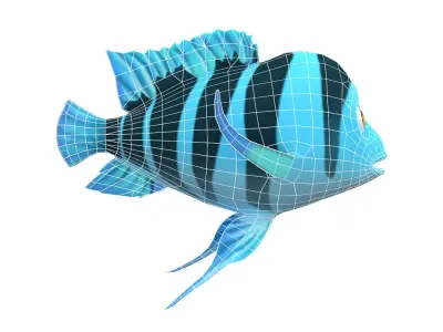 Humphead Cichlid Fish Cartoon Animated Low-poly 3D model