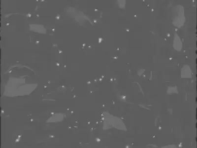 Tactical Modular Assault Helmet 3D Model Elite Protection Low-poly 3D model