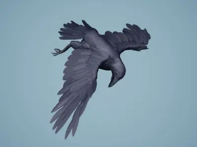 Dead Crow Low-poly 3D model
