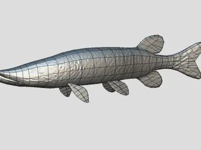 Pike Realistic Animated Low-poly 3D model