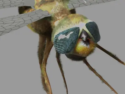 dragonfly Low-poly 3D model