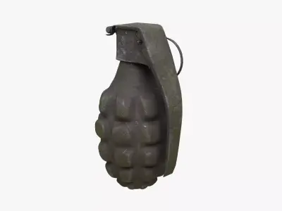 Dirty Hand Grenade Low-poly 3D model