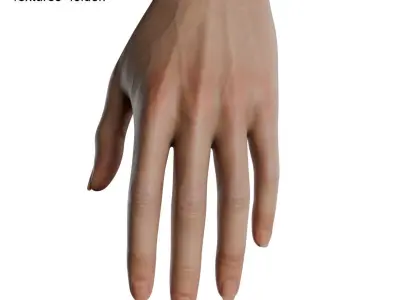 Female Hand Low-poly 3D model