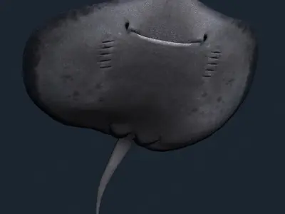 3DRT - Sealife - Stingray Low-poly 3D model