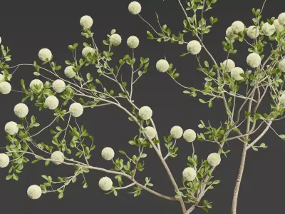 Decorative Branches vol 163 Blender Free low-poly 3D model