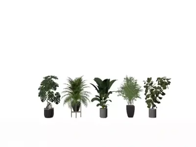 potted plant combination 3D model